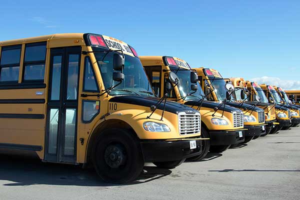 Beautifully Clean and Modern School Busses Suitable for Weddings